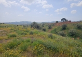 Terreno no urbanizable en venta en la Polígono 14 Parcela 580 ENTRE RIOS. MIJAS, Campo-Mijas, ref: TR403095 foto