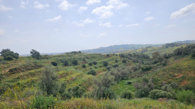 Málaga - Mijas - 29719m2