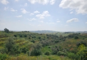 Terreno no urbanizable en venta en la Polígono 14 Parcela 580 ENTRE RIOS. MIJAS, Campo-Mijas, ref: TR403095 foto