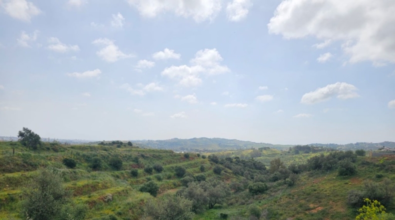 Málaga - Mijas - 29719m2