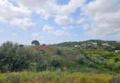 Terreno no urbanizable en venta en la Polígono 14 Parcela 580 ENTRE RIOS. MIJAS, Campo-Mijas, ref: TR403095 foto