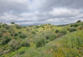 Terreno no urbanizable en venta en la Polígono 14 Parcela 580 ENTRE RIOS. MIJAS, Campo-Mijas, ref: TR403095 foto