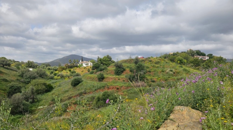 Málaga - Mijas - 29719m2