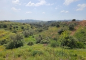Terreno no urbanizable en venta en la Polígono 14 Parcela 580 ENTRE RIOS. MIJAS, Campo-Mijas, ref: TR403095 foto