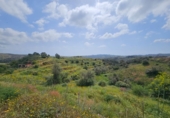 Terreno no urbanizable en venta en la Polígono 14 Parcela 580 ENTRE RIOS. MIJAS, Campo-Mijas, ref: TR403095 foto
