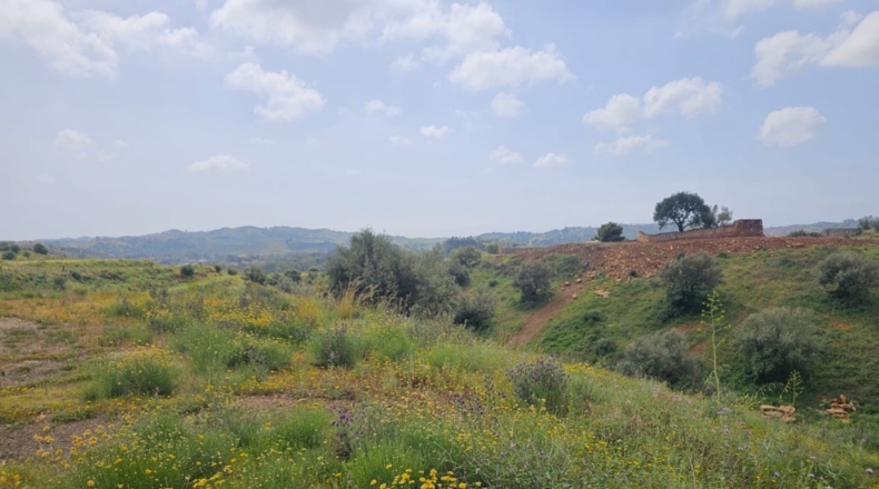 Málaga - Mijas - 29719m2