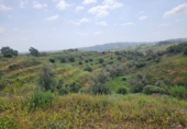 Terreno no urbanizable en venta en la Polígono 14 Parcela 580 ENTRE RIOS. MIJAS, Campo-Mijas, ref: TR403095 foto