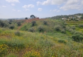 Terreno no urbanizable en venta en la Polígono 14 Parcela 580 ENTRE RIOS. MIJAS, Campo-Mijas, ref: TR403095 foto