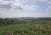 Terreno no urbanizable en venta en la Polígono 14 Parcela 580 ENTRE RIOS. MIJAS, Campo-Mijas, ref: TR403095 foto