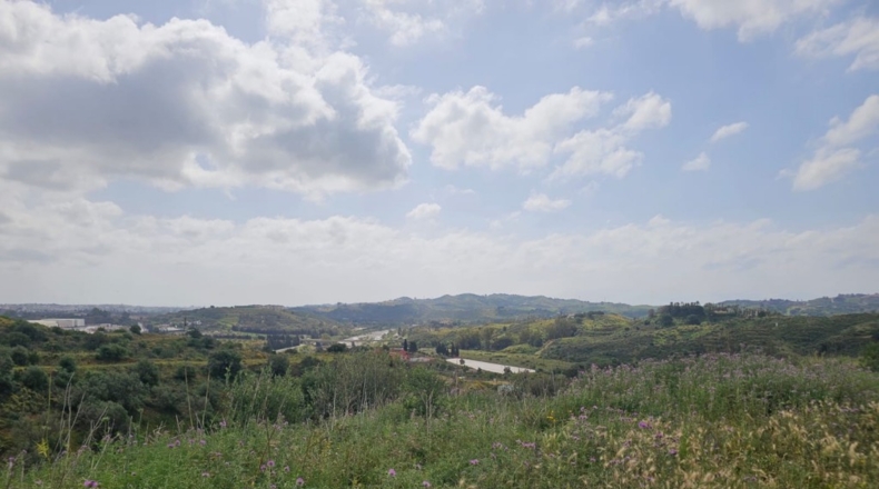 Málaga - Mijas - 29719m2