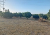 Sòl urbà en venda a Alcalá de Guadaíra ref.: TR403121 foto