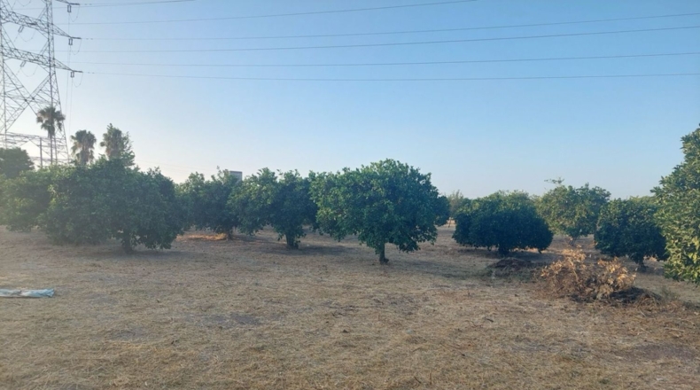 Sevilla - Alcalá de Guadaíra - 3774m2