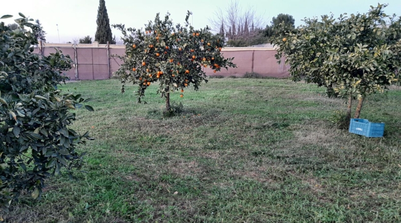 Sevilla - Alcalá de Guadaíra - 3774m2