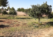 Sòl urbà en venda a Alcalá de Guadaíra ref.: TR403121 foto
