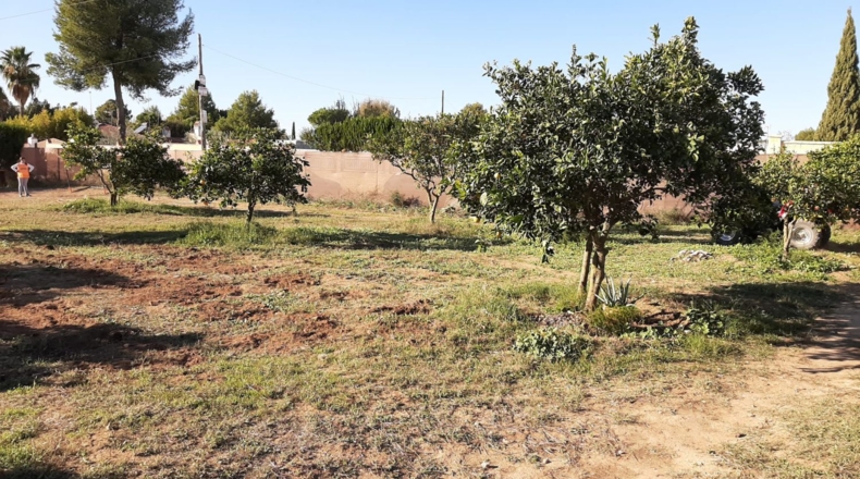 Sevilla - Alcalá de Guadaíra - 3774m2
