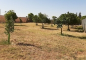Sòl urbà en venda a Alcalá de Guadaíra ref.: TR403121 foto