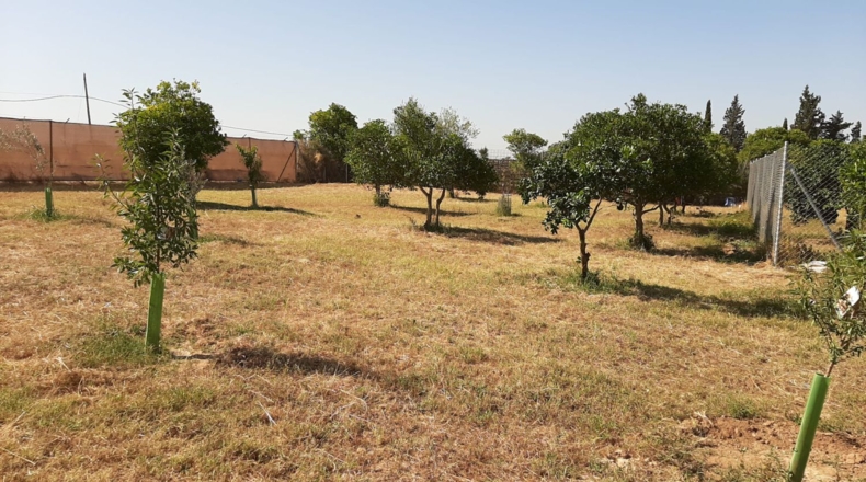 Sevilla - Alcalá de Guadaíra - 3774m2