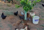 Sòl urbà en venda a Alcalá de Guadaíra ref.: TR403121 foto