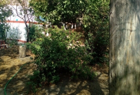 Foto 20