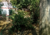 Village house for sale in Trujillo ref: TR403248 photo