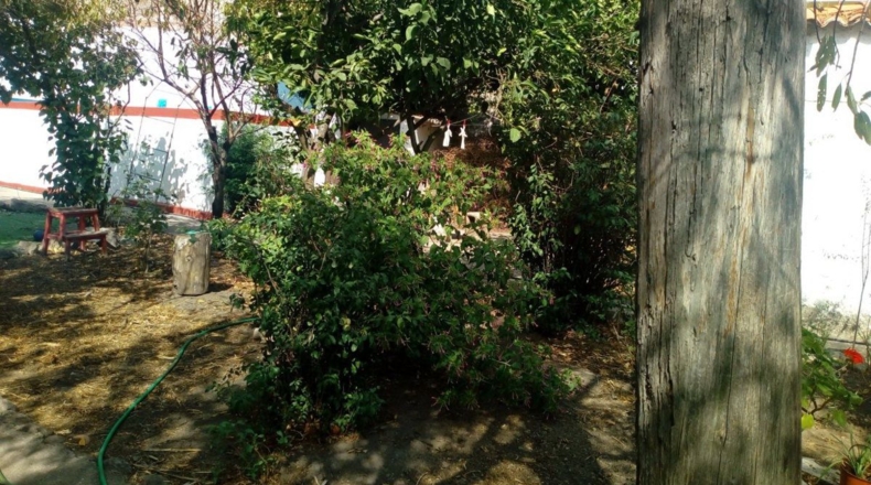 Cáceres - Trujillo - 662m2