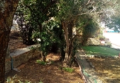 Village house for sale in Trujillo ref: TR403248 photo