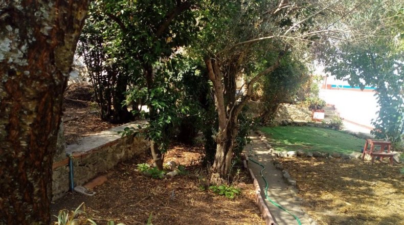 Cáceres - Trujillo - 662m2