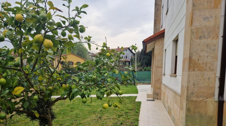 Cantabria - Reocín - 262m2