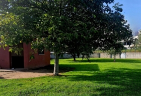 Foto 11