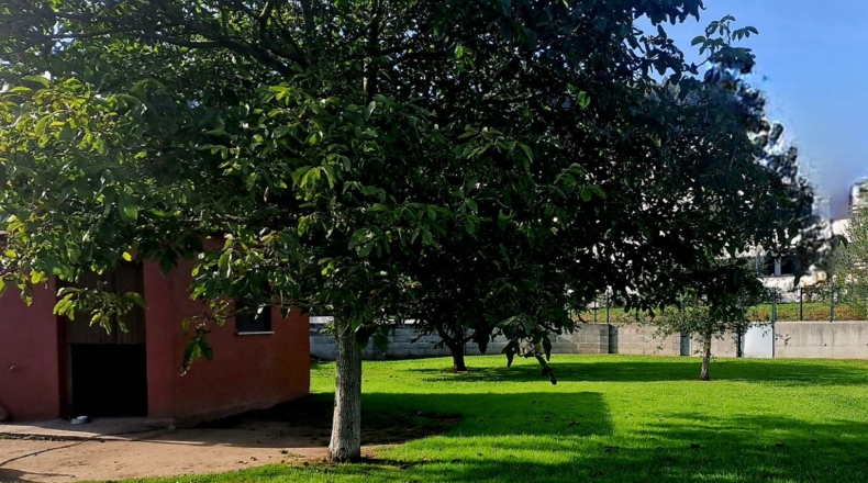 Cantabria - Torrelavega - 1000m2