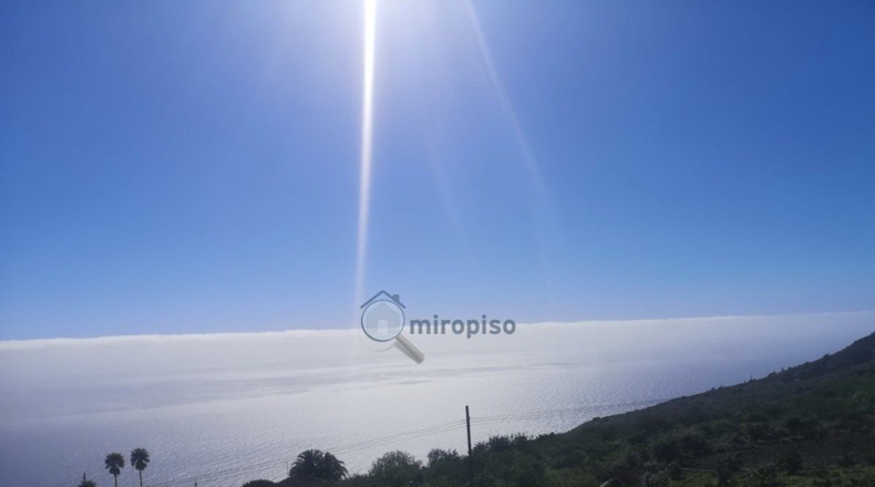 Санта-Крус-де-Тенерифе - Monte de Luna - 1252m2
