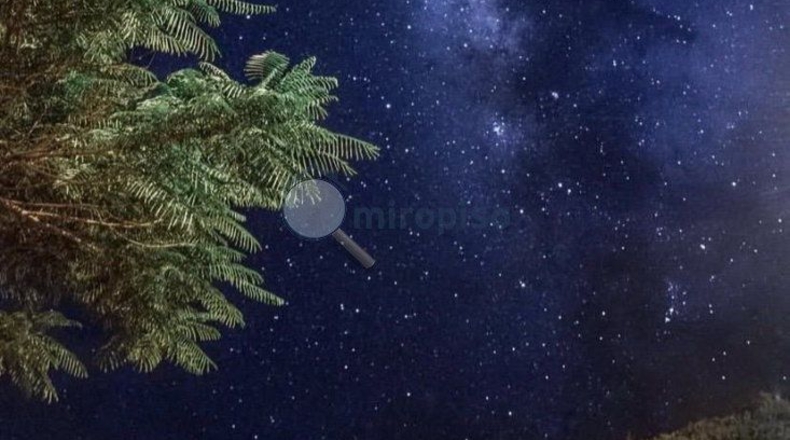Санта-Крус-де-Тенерифе - Monte de Luna - 1252m2