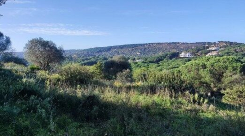 Cádiz - San Roque - 3315m2