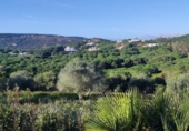 Parcel·la urbanitzable en venda a San Roque ref.: TR403120 foto