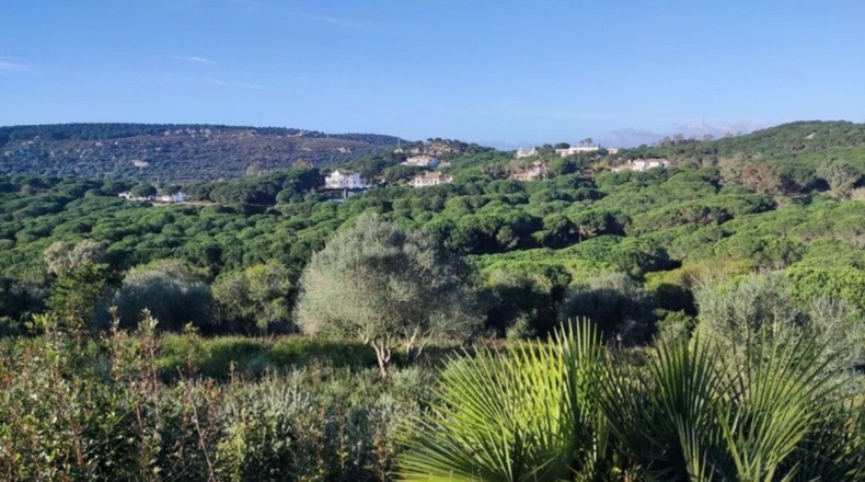 Cádiz - San Roque - 3315m2