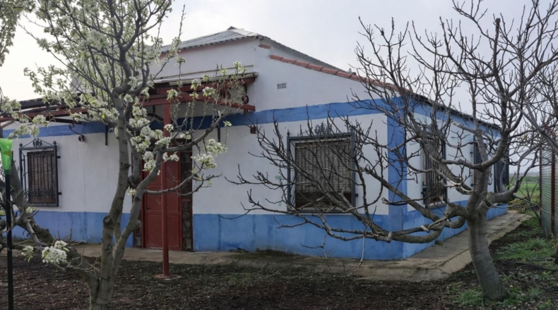 Ciudad Real - Valdepeñas - 9539m2