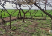 Finca rústica en venda a Valdepeñas ref.: TR403237 foto