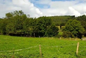 Hazas 2345&nbsp;m²