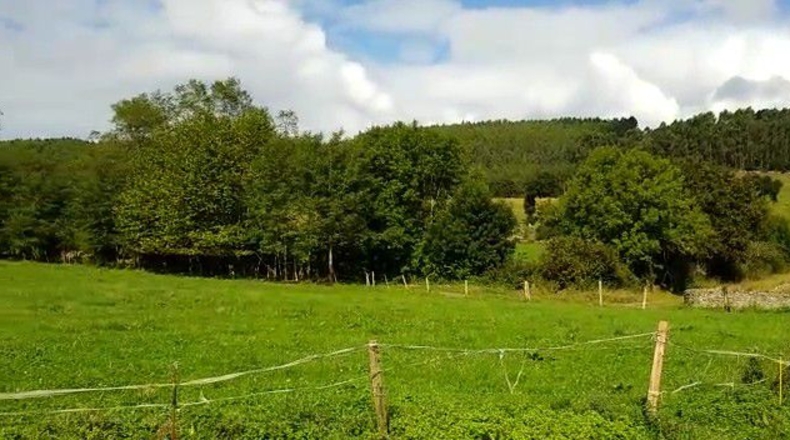 Cantàbria - Hazas de Cesto - 2345m2