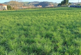 Hazas 2345&nbsp;m²