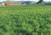 Terreny no urbanitzable en venda a la España, Hazas, ref.: TR403118 foto