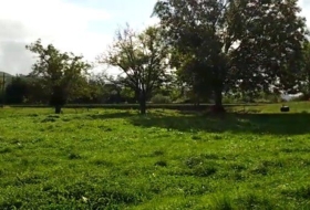 Hazas 2345&nbsp;m²