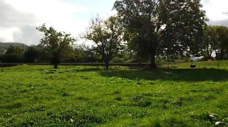 Cantàbria - Hazas de Cesto - 2345m2