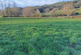 Hazas 2345&nbsp;m²