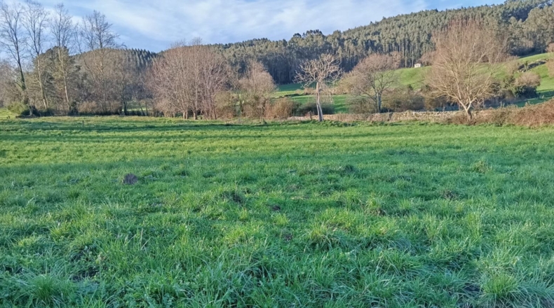 Cantàbria - Hazas de Cesto - 2345m2