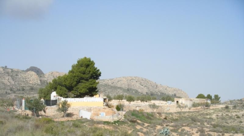 Alicante - Sax - 5136m2
