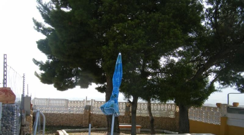 Alicante - Sax - 5136m2