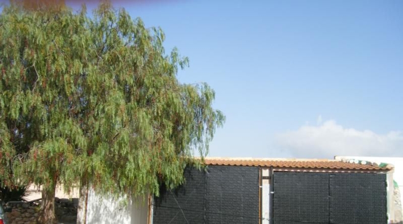 Alicante - Sax - 5136m2