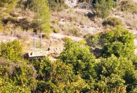 Sumacàrcer 49728&nbsp;m² 