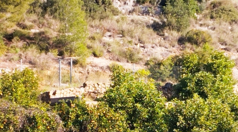 Valencia - Sumacàrcer - 49728m2